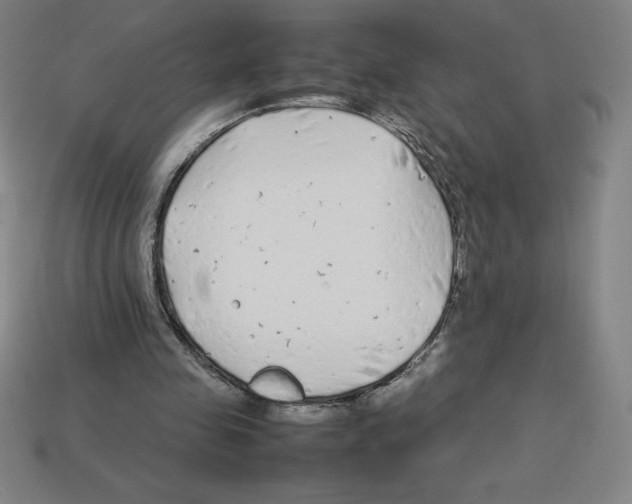 X0000112750341200910011159