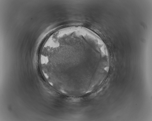 X0000112750343200910011159