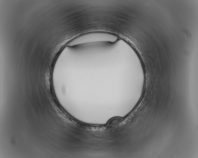 X0000112750345200910011159