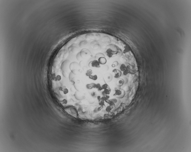 X0000112750346200910011159