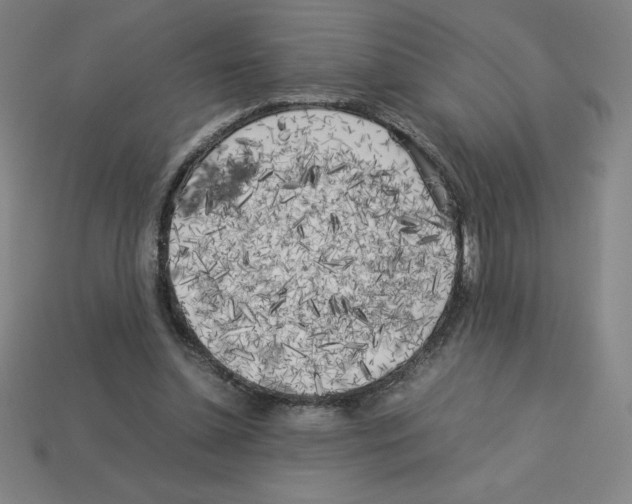 X0000112750348200910011159