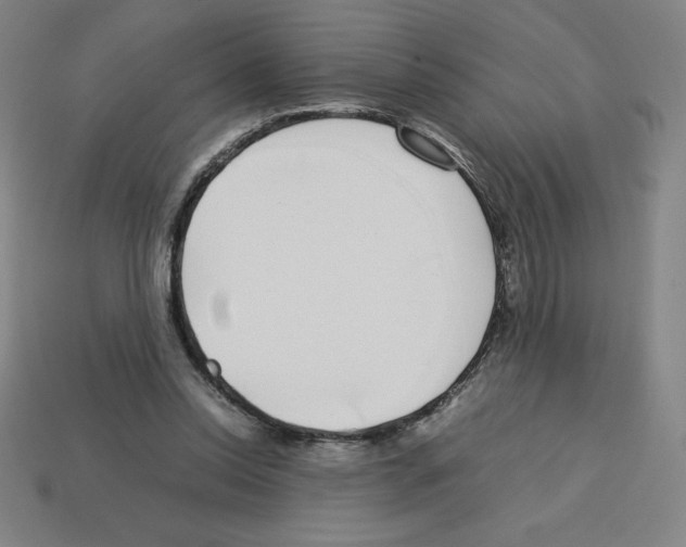 X0000112750350200910011159