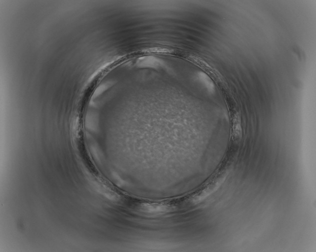 X0000112750351200910011159