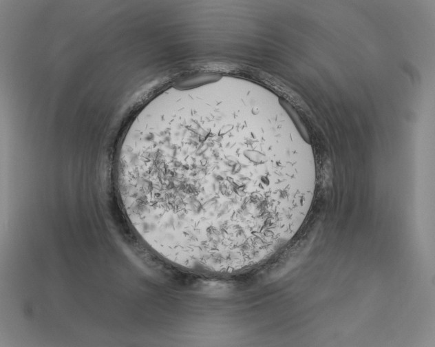 X0000112750352200910011159