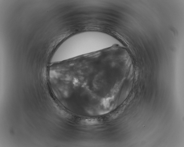 X0000112750353200910011159