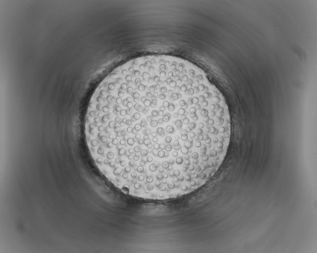 X0000112750354200910011159