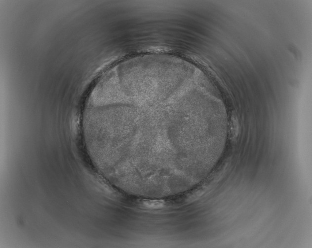 X0000112750355200910011159