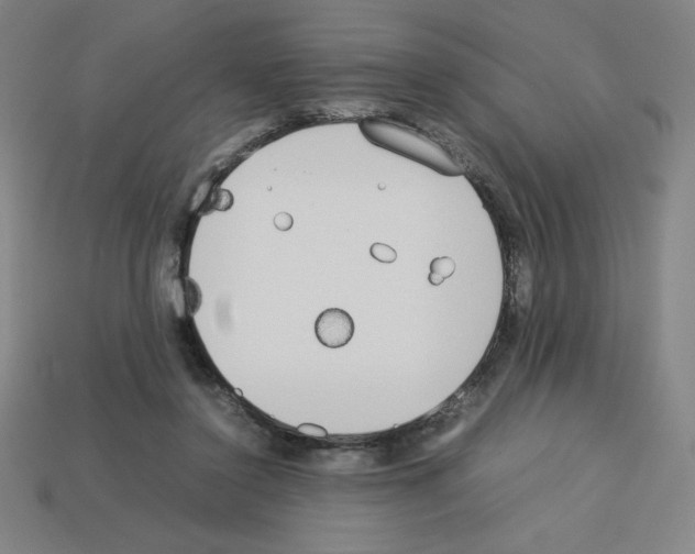 X0000112750356200910011159