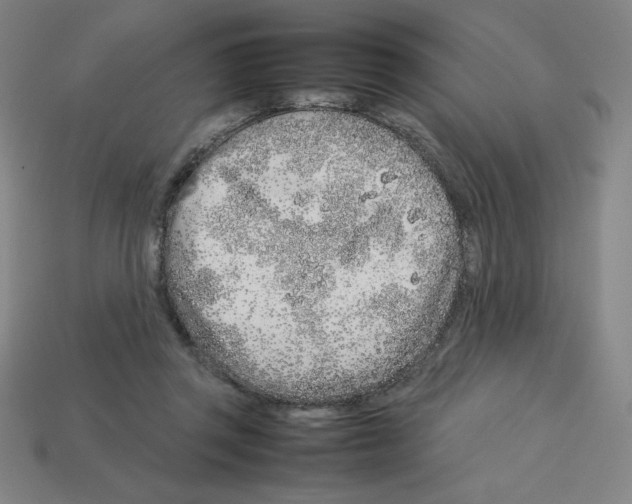 X0000112750357200910011159