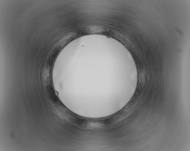 X0000112750360200910011159