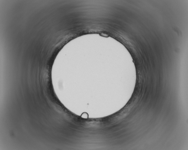 X0000112750362200910011159