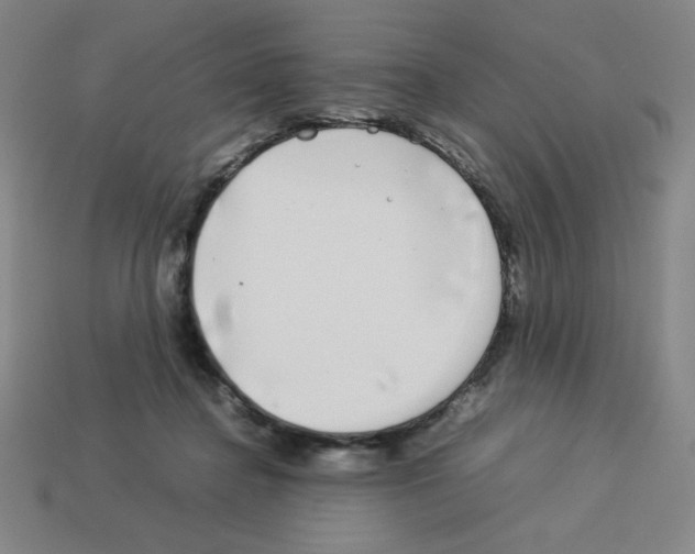 X0000112750364200910011159