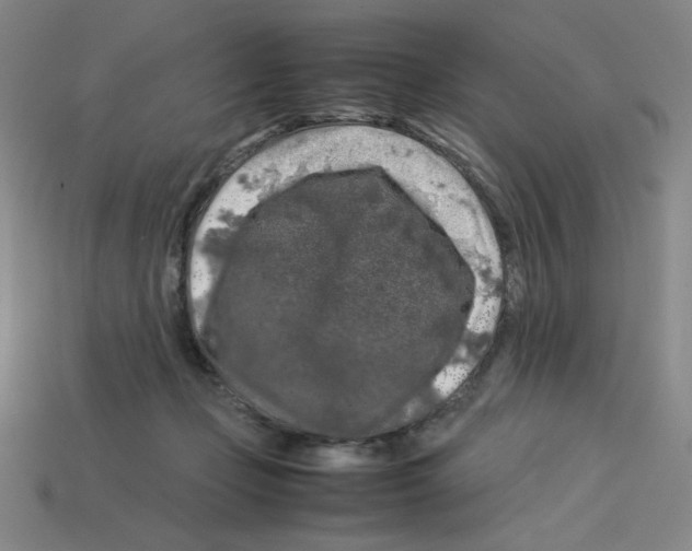 X0000112750365200910011159