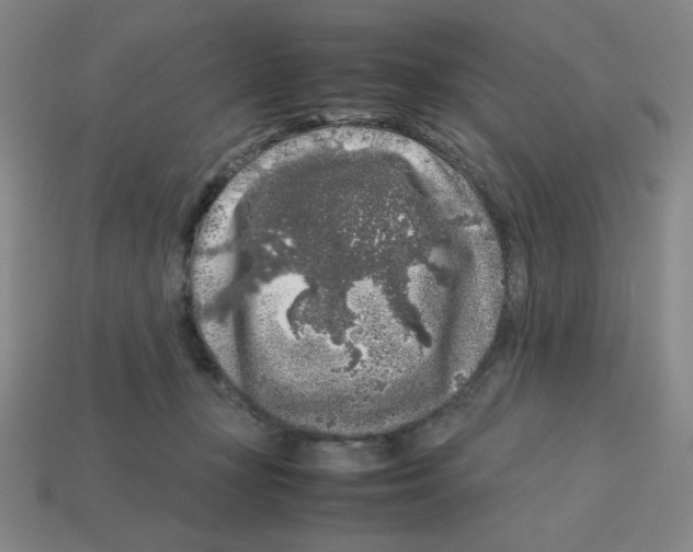 X0000112750367200910011159