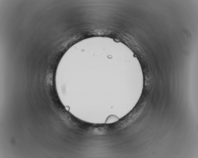 X0000112750368200910011159