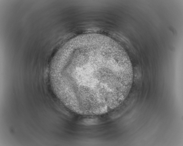 X0000112750369200910011159