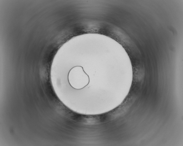 X0000112750370200910011159