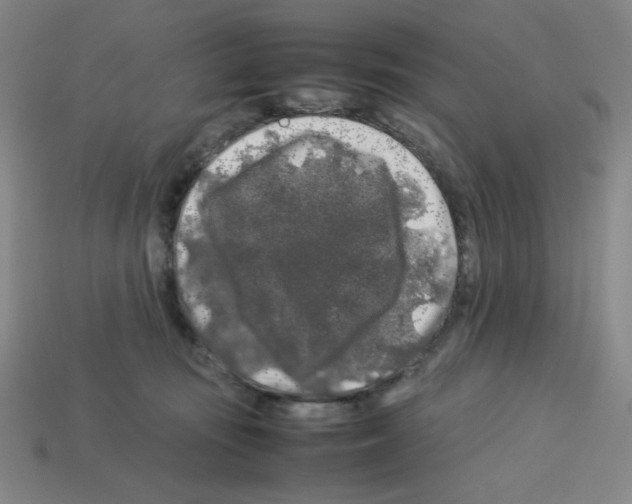 X0000112750371200910011159