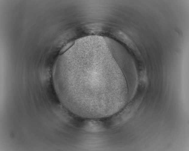 X0000112750372200910011159