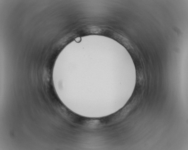 X0000112750374200910011159