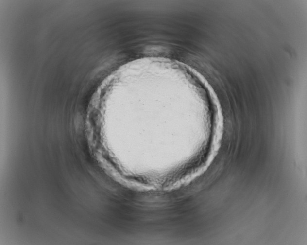 X0000112750375200910011159