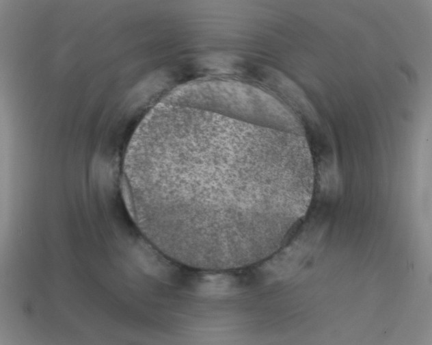 X0000112750376200910011159