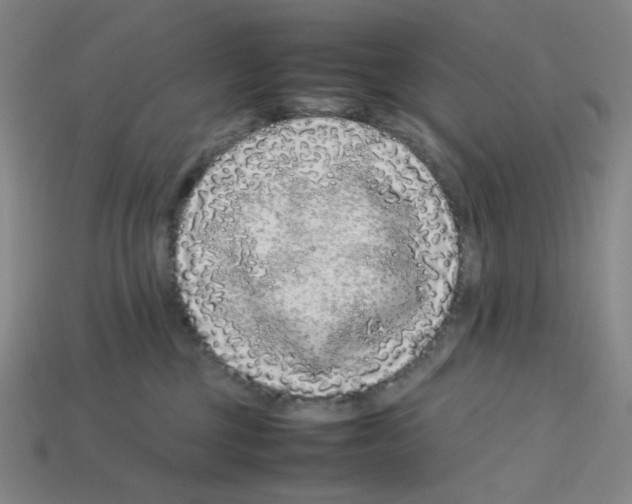 X0000112750377200910011200