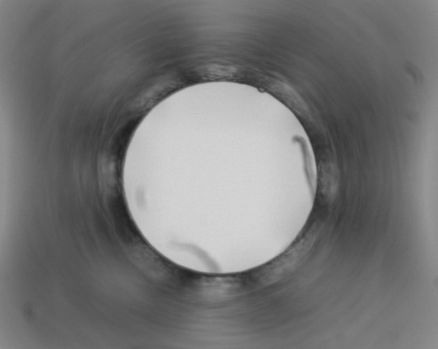 X0000112750378200910011200