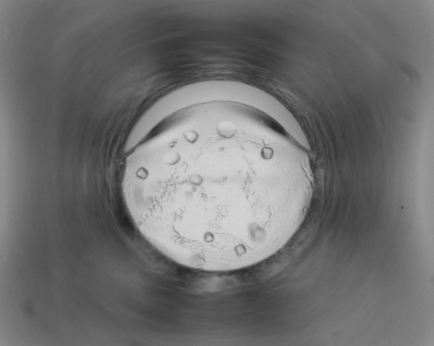 X0000112750379200910011200