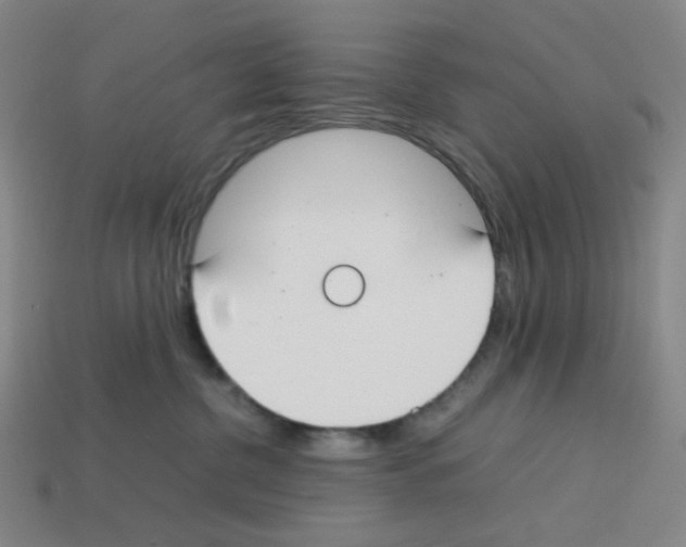 X0000112750380200910011200