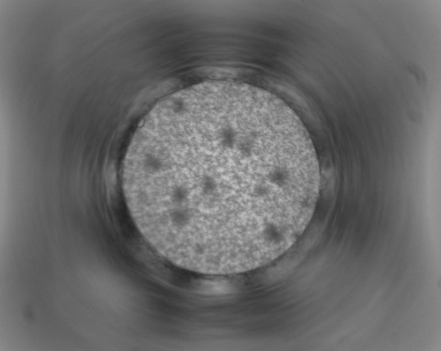 X0000112750381200910011200