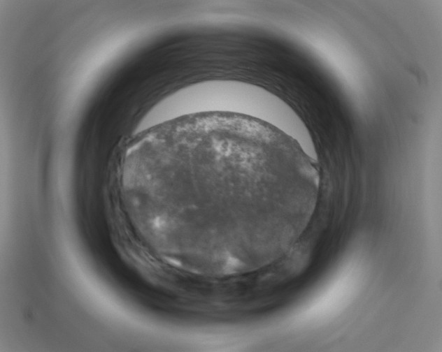 X0000112750383200910011200