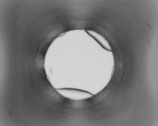 X0000112750384200910011200