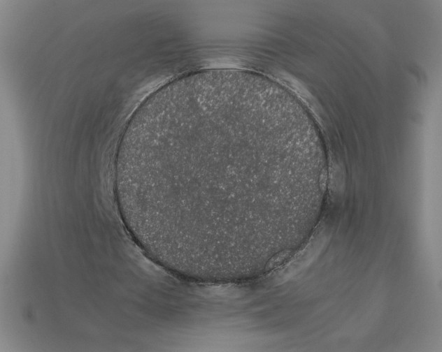 X0000112750385200910011159