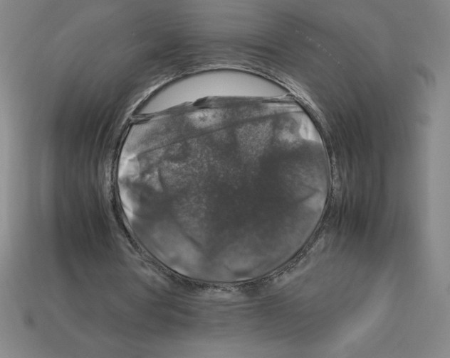 X0000112750386200910011159