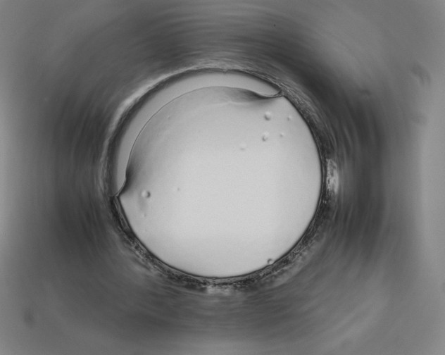 X0000112750388200910011159