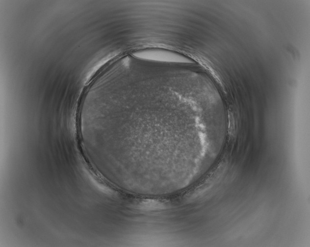 X0000112750390200910011159