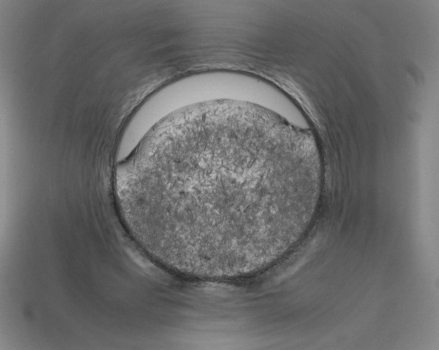 X0000112750393200910011159