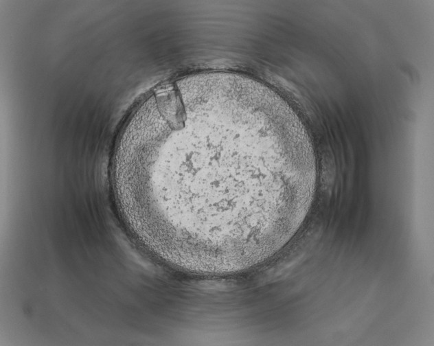 X0000112750394200910011159