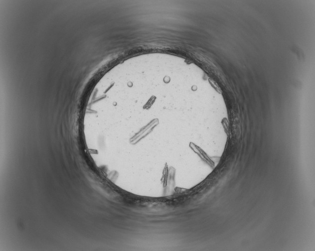 X0000112750395200910011159