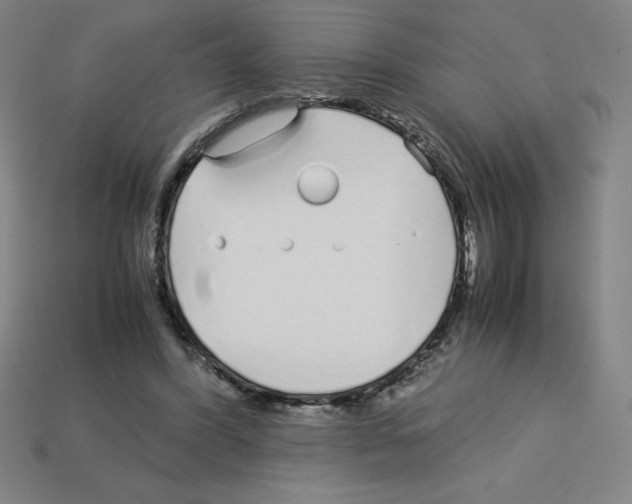 X0000112750396200910011159