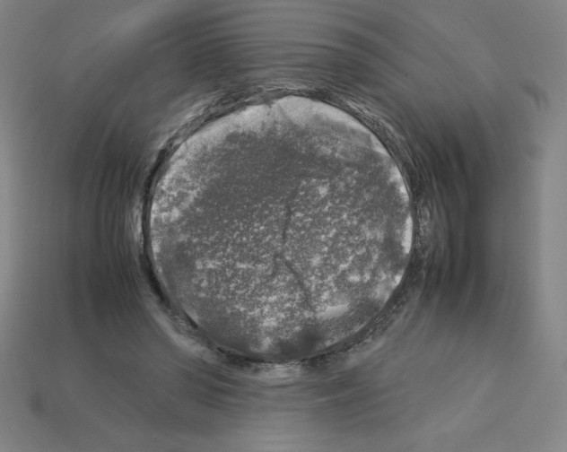 X0000112750398200910011159