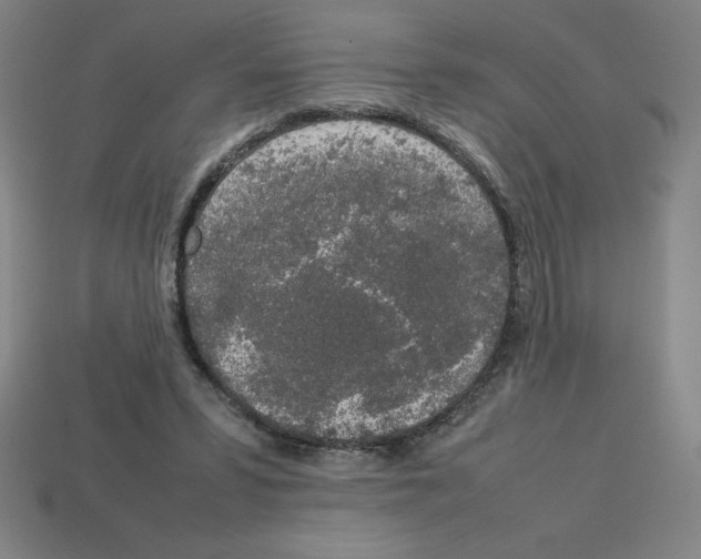 X0000112750399200910011159