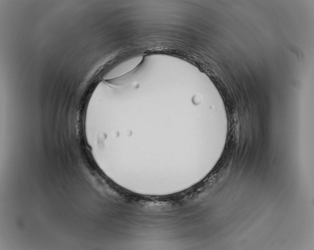 X0000112750400200910011159