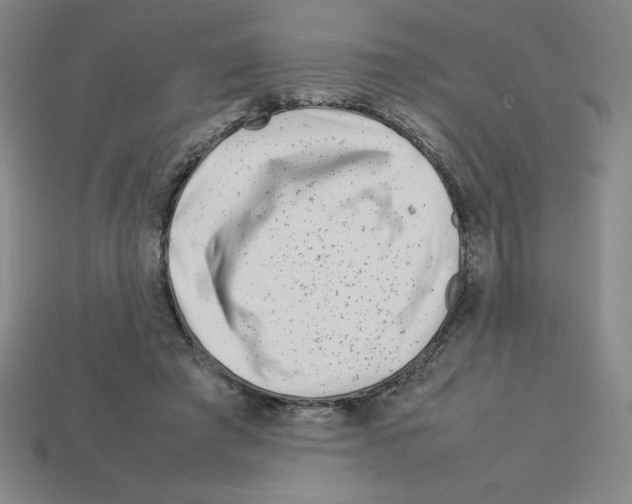 X0000112750401200910011159