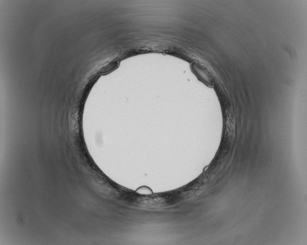 X0000112750403200910011159