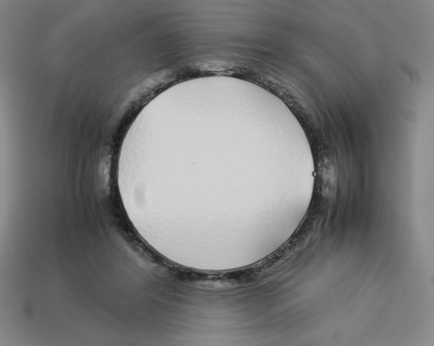 X0000112750404200910011158