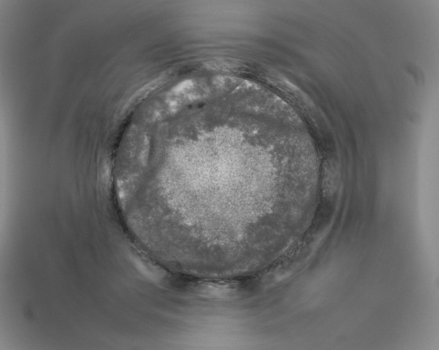 X0000112750405200910011158