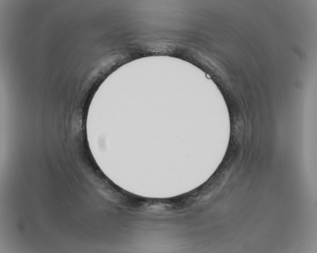 X0000112750407200910011158