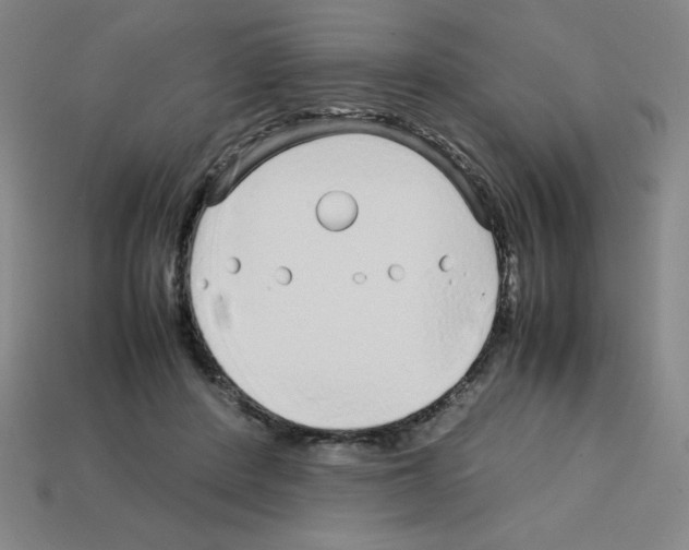 X0000112750408200910011158